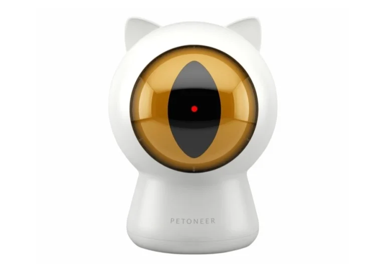 ของใช้แมวที่ประดับตกแต่งบ้านได้ แบบไหนดี