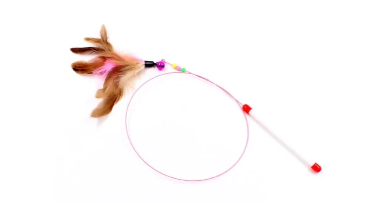 ของเล่นแมว แบบไหนดี