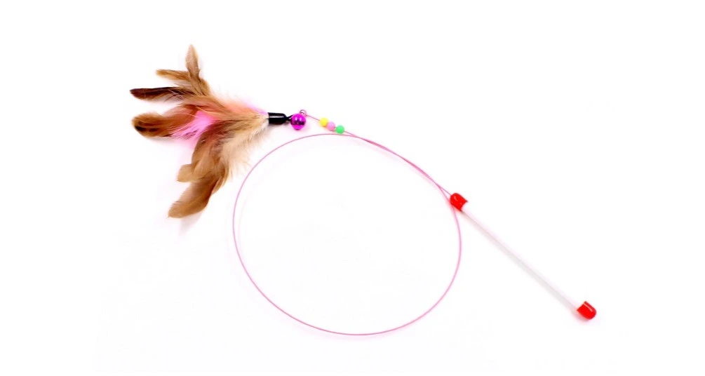 ของเล่นแมว แบบไหนดี