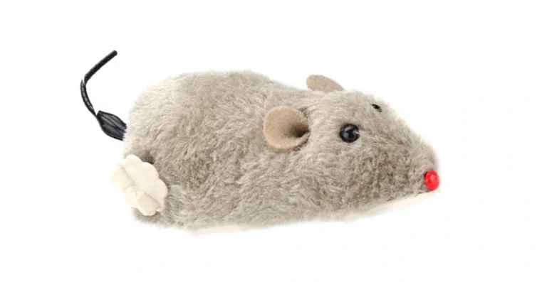 ของเล่นแมว แบบไหนดี