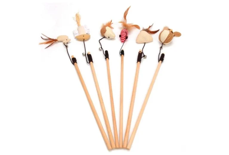 ไม้ล่อแมว แบบไหนดี