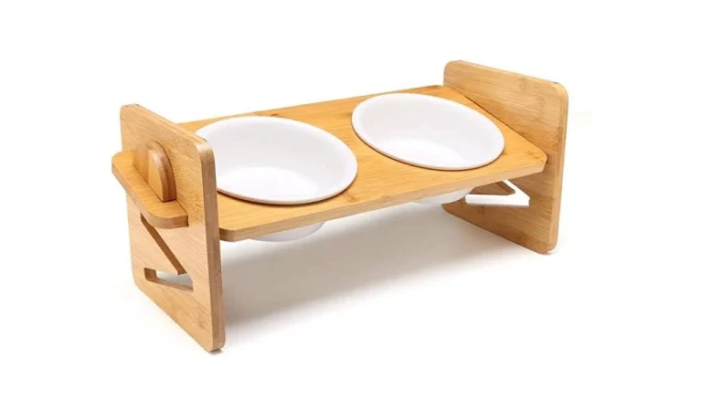 ของใช้แมวที่ประดับตกแต่งบ้านได้ แบบไหนดี