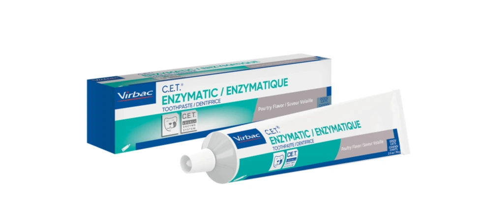 ยาสีฟันสุนัข แบบไหนดี