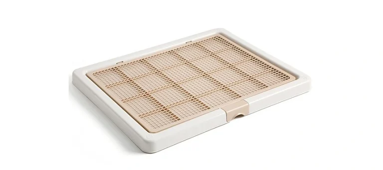 ของใช้สุนัขที่ประดับตกแต่งบ้านได้ แบบไหนดี