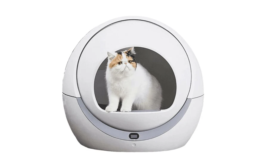 ห้องน้ำแมวอัตโนมัติ แบบไหนดี