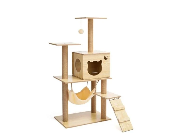 คอนโดแมว แบบไหนดี