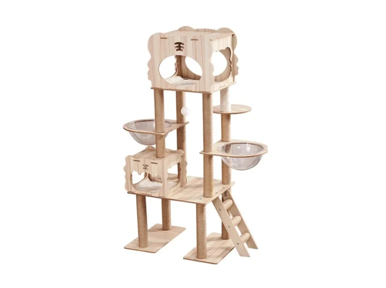 คอนโดแมว แบบไหนดี