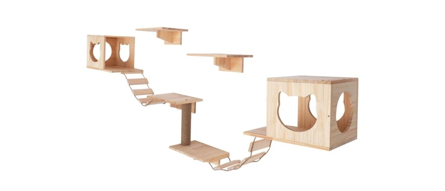 คอนโดแมว แบบไหนดี