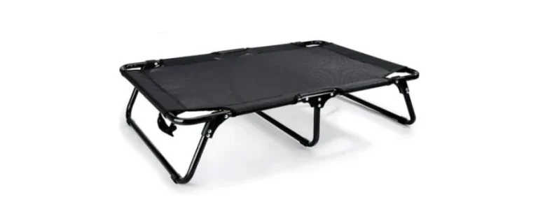 ที่นอนสุนัข แบบไหนดี