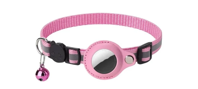 เคส airtag แมว แบบไหนดี