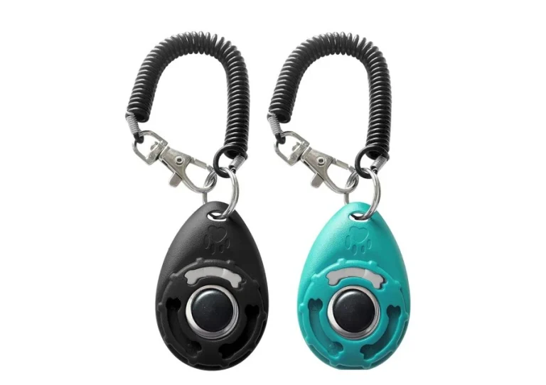 คลิกเกอร์ฝึกสุนัข แบบไหนดี