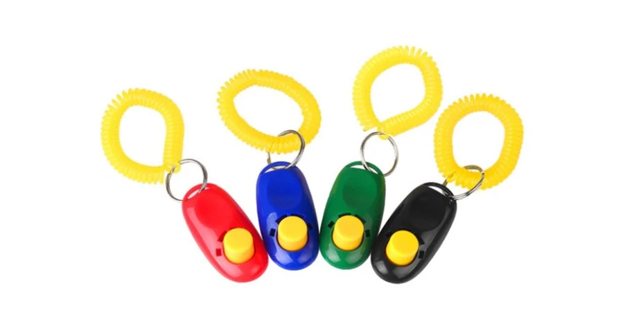 คลิกเกอร์ฝึกสุนัข แบบไหนดี