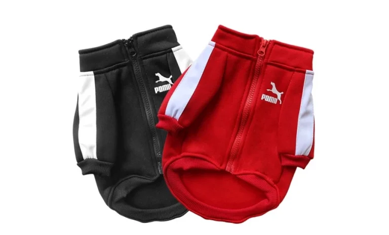 เสื้อกันหนาวแมว แบบไหนดี