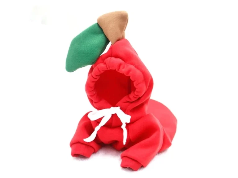 เสื้อกันหนาวสุนัข แบบไหนดี