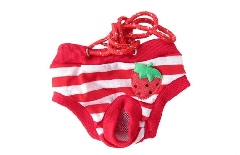 กางเกงในสุนัข แบบไหนดี