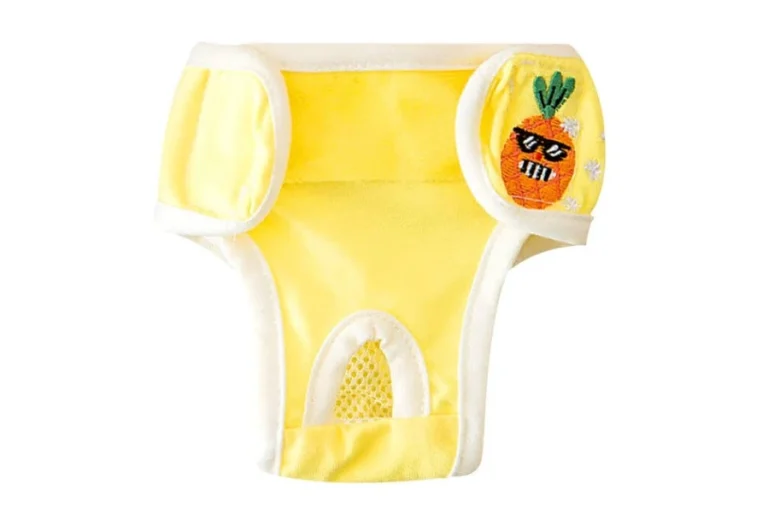 กางเกงในสุนัข แบบไหนดี