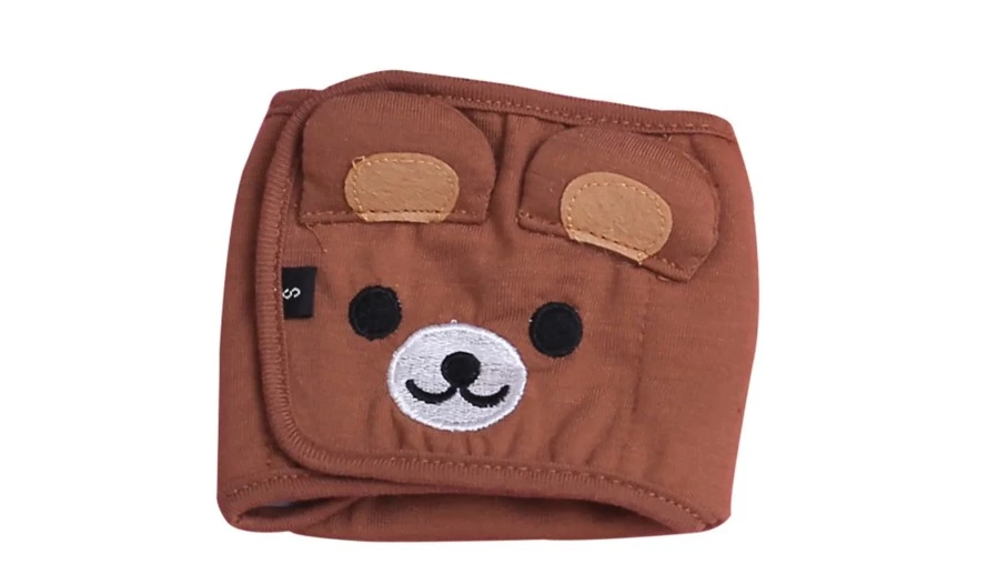 กางเกงผ้าอ้อมสุนัข แบบไหนดี