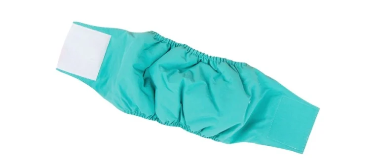 กางเกงอนามัยสุนัข แบบไหนดี