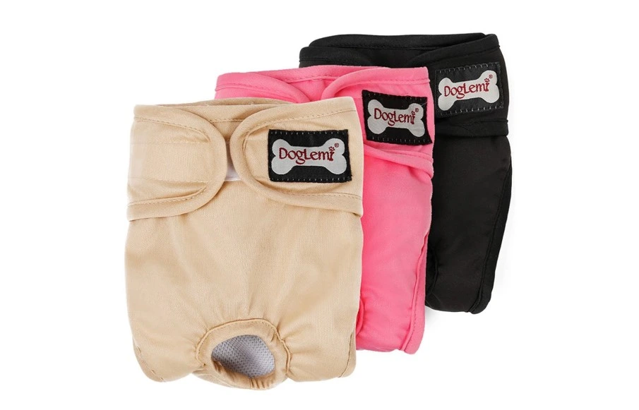 กางเกงอนามัยสุนัข แบบไหนดี