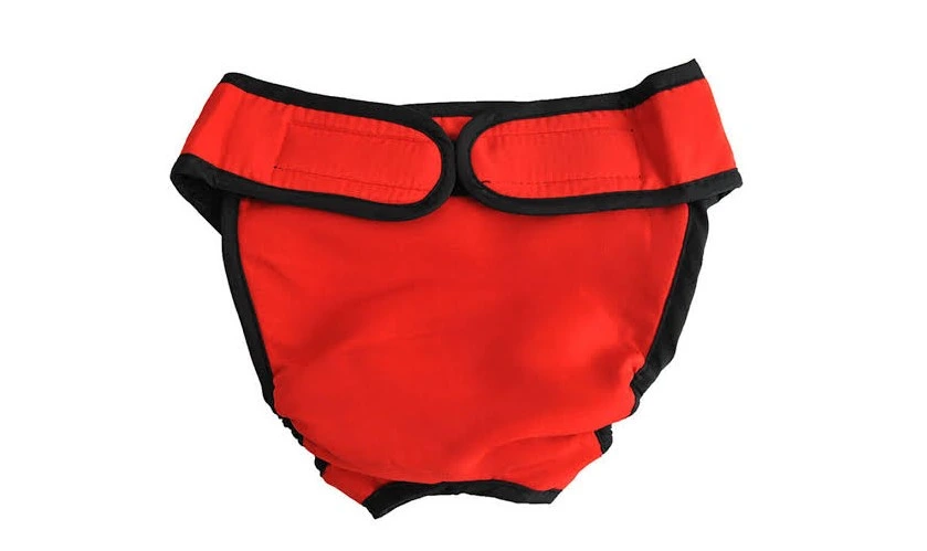 กางเกงผ้าอ้อมสุนัข แบบไหนดี