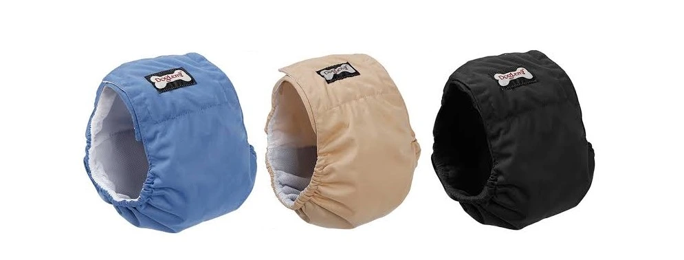 กางเกงอนามัยสุนัข แบบไหนดี