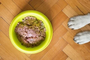 อาหารเปียกสุนัข ยี่ห้อไหนดี