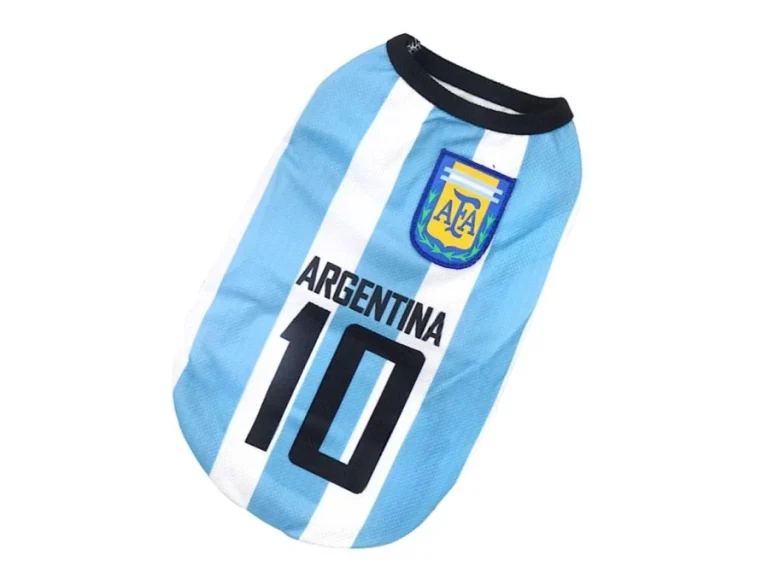 ชุดสุนัข แบบไหนดี