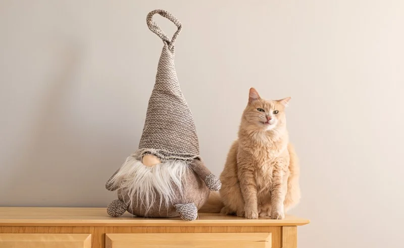 ขนมแมว ยี่ห้อไหนดี